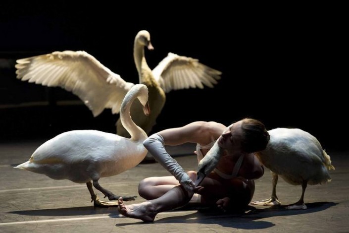 Light-Bird