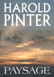 Paysage de Harold Pinter par Patrick Lassarte