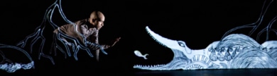 chotto desh