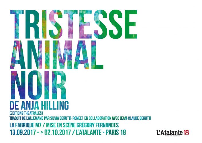 gregory-fernandes-met-en-scene-tristesse-animal-noir-danja-hilling
