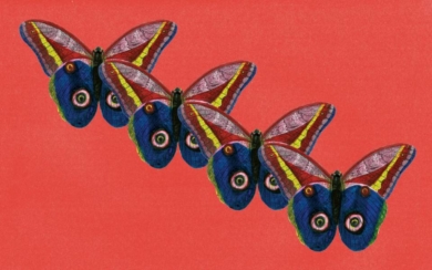 mimesis-de-jean-pierre-dumas