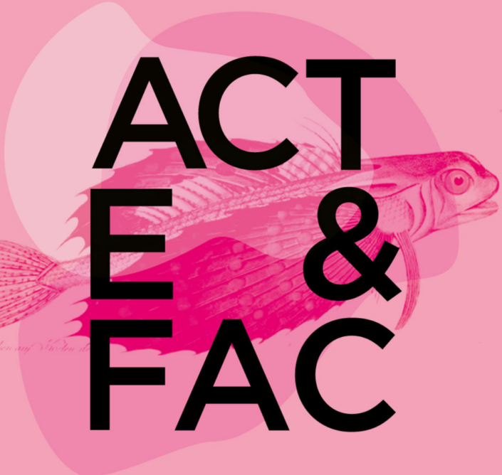 Festival Acte et Fac