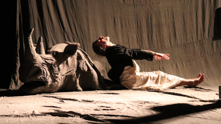Le promontoire du songe photo Nathalie Prats