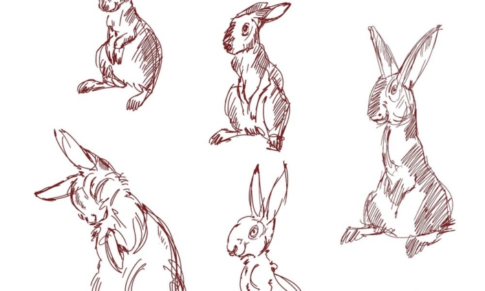 La terre entière sera ton ennemie, une adaptation de Watership Down de Richard Adams par Thomas Blanchard et le cinéaste Sébastien Betbeder