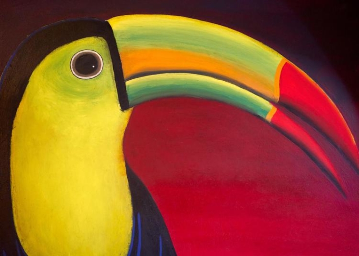 Le carnaval des animaux sud-américains par l’Ensemble Almaviva