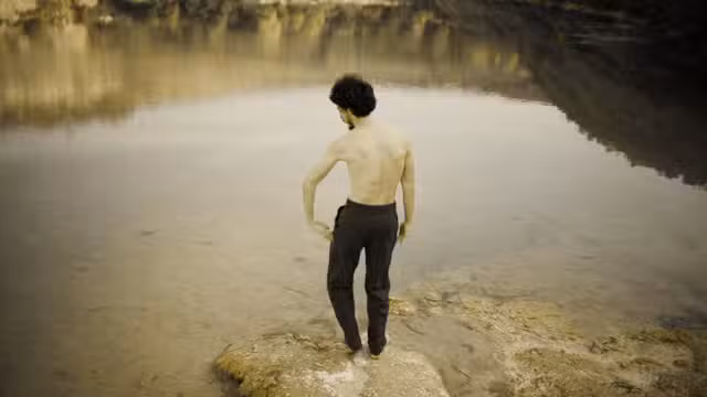 Animal Kingdom Akram Khan