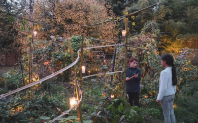 le-jardin-secret-du-carre-des-jalles-photo-pierre-planchenault-scaled