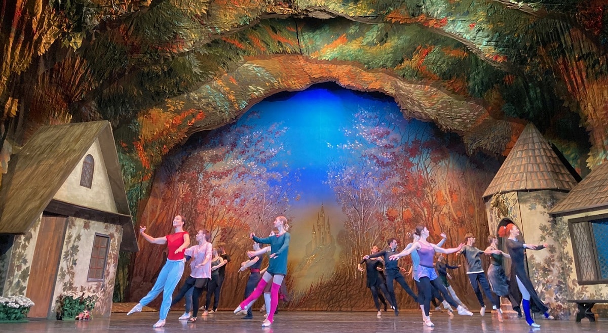 / actu / Le Ballet de l’Opéra National d'Ukraine passe les fêtes à Paris