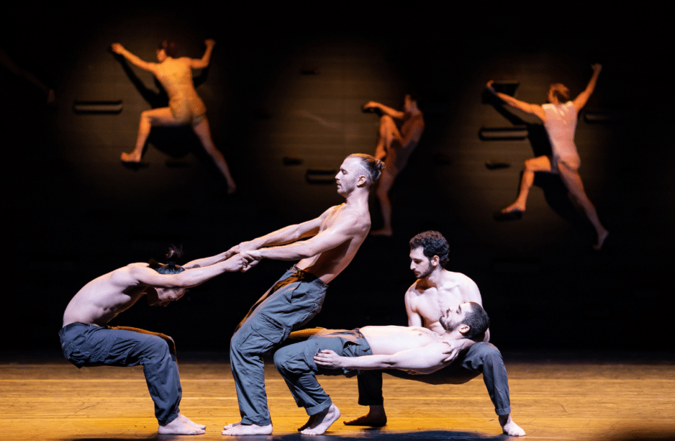 MOMO d'Ohad Naharin avec la Batsheva Dance Company