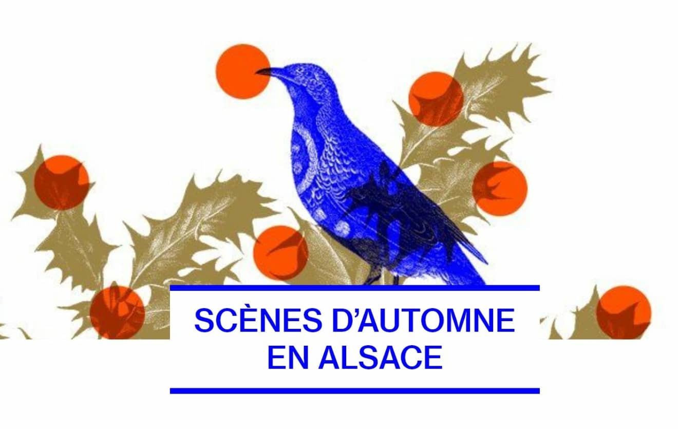 Scènes d’automne en Alsace 2023