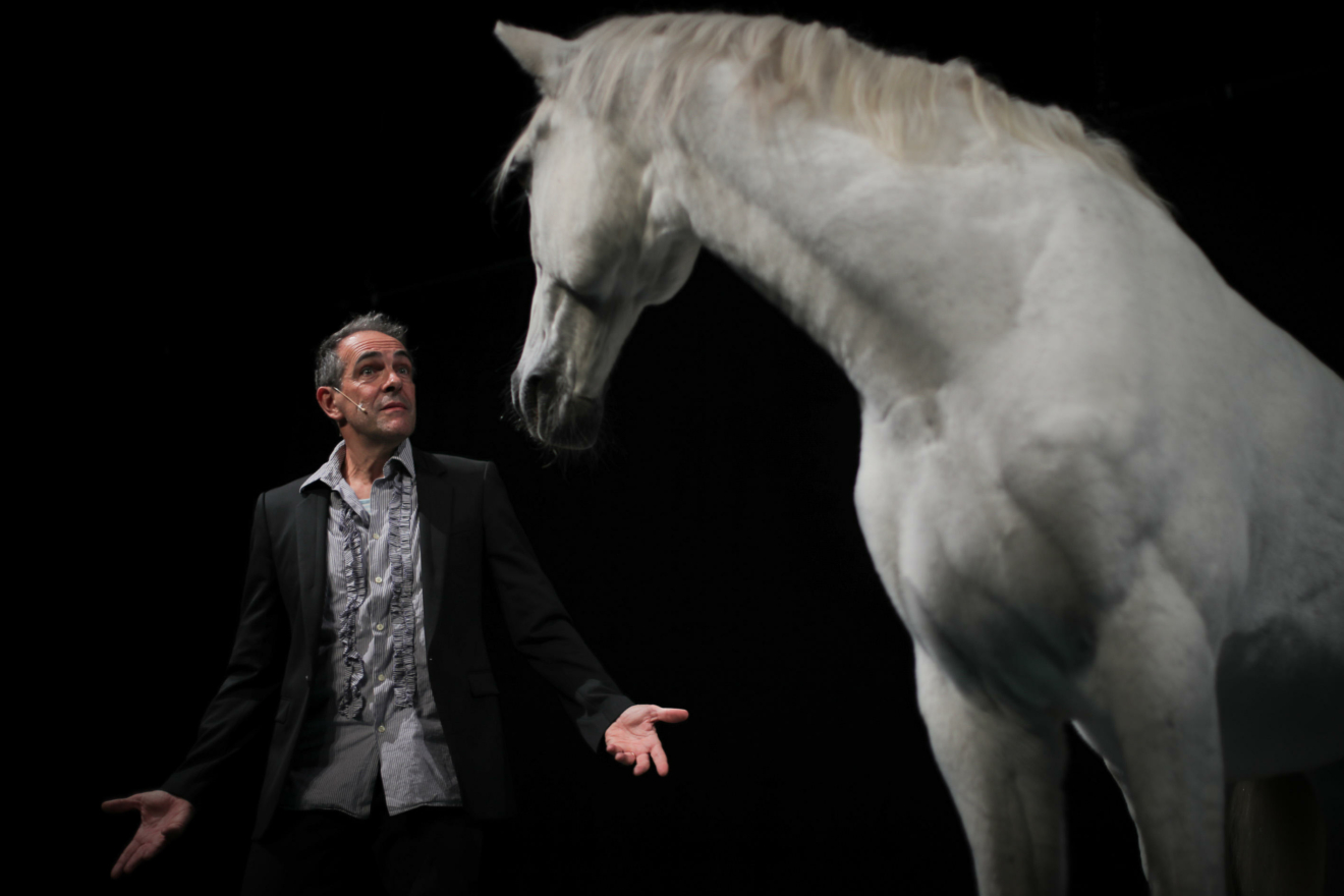 Un mec et son cheval
