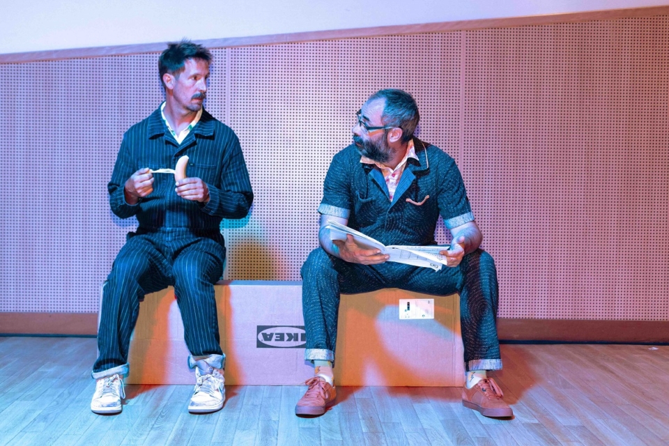 Mathieu Despoisse et Étienne Manceau dans Pling-Klang