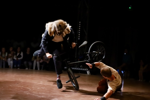 La Compagnie Cirque Exalté crée Foutoir céleste