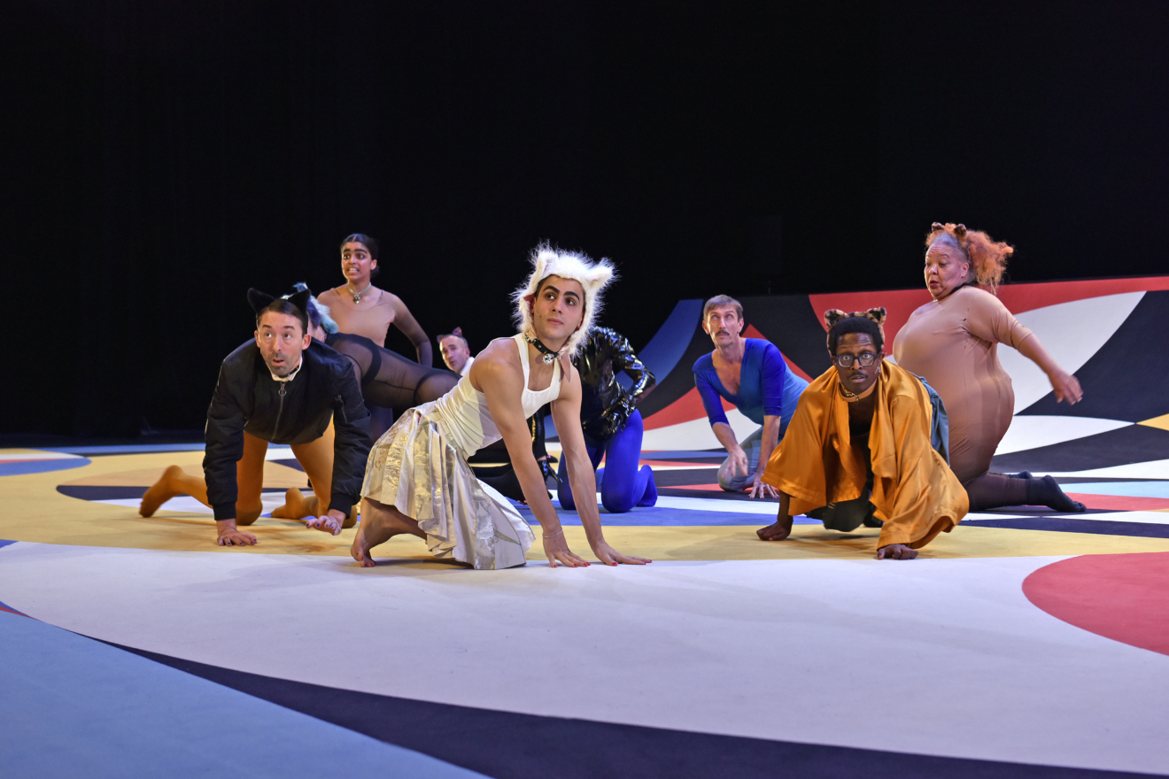 Marlène Saldana et Jonathan Drillet créent Les chats au Théâtre de Chaillot