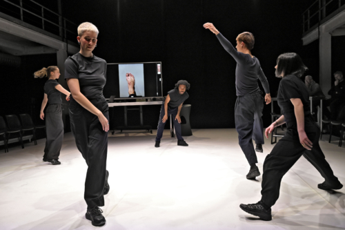 Michel Schweizer crée DOGS [NOUVELLES DU PARC HUMAIN] à La Manufacture CDCN de Bordeaux