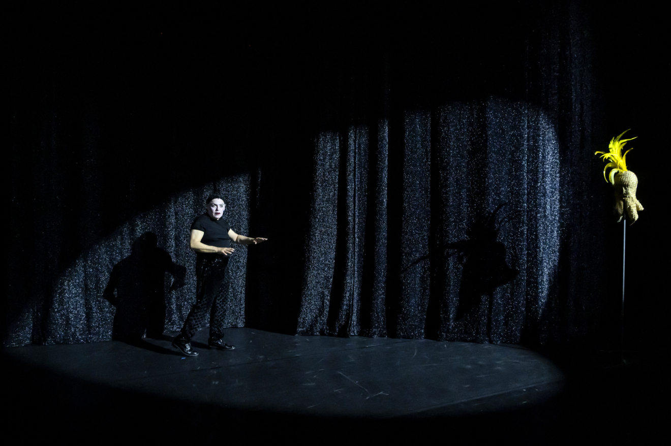 Raoul Fernandez dans Il s'en va - Portrait de Raoul (suite) de Philippe Minyana, mise en scène Marcial Di Fonzo Bo