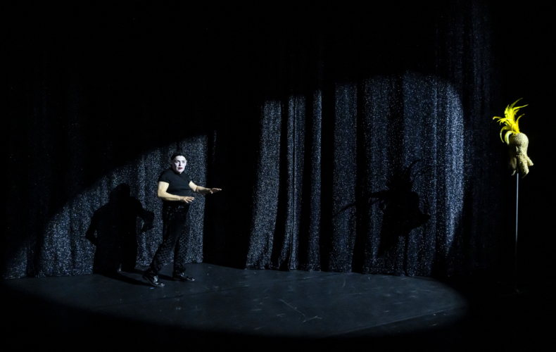 Raoul Fernandez dans Il s'en va - Portrait de Raoul (suite) de Philippe Minyana, mise en scène Marcial Di Fonzo Bo