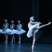 Amandine Albisson dans Le Lac des cygnes