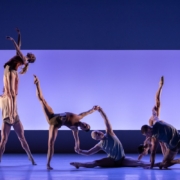 Impermanence La Sydney Dance Company