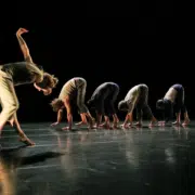 Le Complexe de l’Autruche par La Compagnie du Courcirkoui