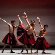 Requiem for a Rose junior ballet de l'Opéra national de Paris photo Julien Benhamou