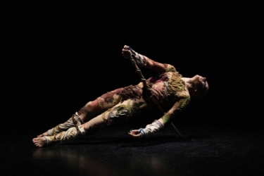 Último helecho de Nina Laisné, François Chaignaud, Nadia Larcher