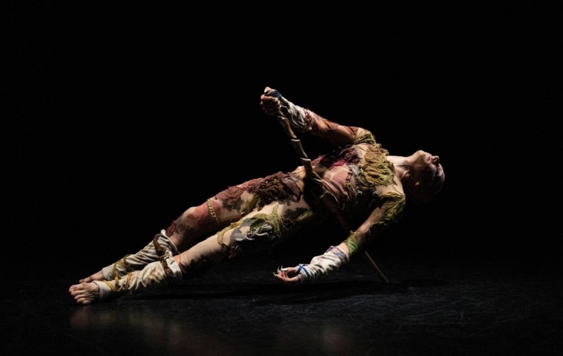 Último helecho de Nina Laisné, François Chaignaud, Nadia Larcher photo Nina Laisné