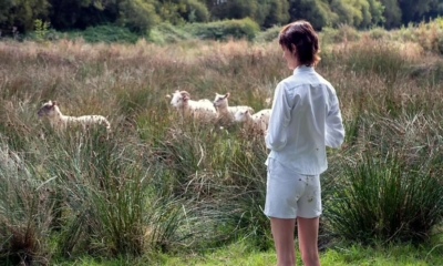 Faire troupeau de Marion Thomas