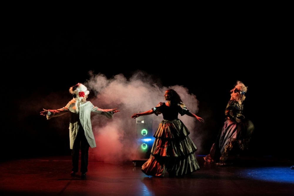 Madame Bovary (roman-performance) de Hugo Mallon photo Vincian Lebrun