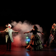 Madame Bovary (roman-performance) de Hugo Mallon photo Vincian Lebrun