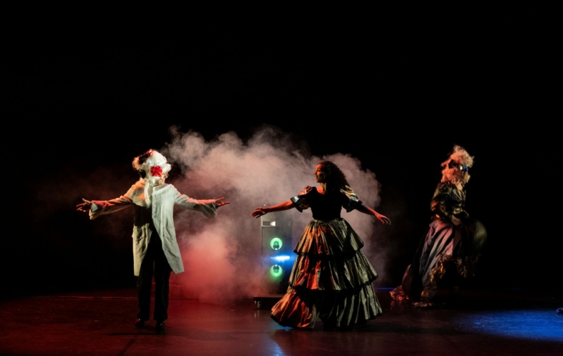 Madame Bovary (roman-performance) de Hugo Mallon photo Vincian Lebrun