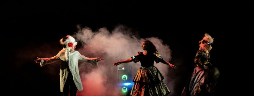 Madame Bovary (roman-performance) de Hugo Mallon photo Vincian Lebrun