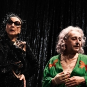 Pierre Maillet met en scène Edith Beale au Reno Sweeney d'après L'Art de la chute de Sara Stridsberg photo Billy Jet Pilot