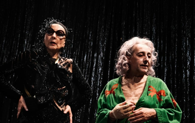 Pierre Maillet met en scène Edith Beale au Reno Sweeney d'après L'Art de la chute de Sara Stridsberg photo Billy Jet Pilot