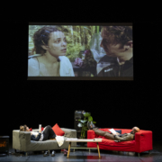 Hugo Mallon crée Madame Bovary (roman-performance) d'après Flaubert