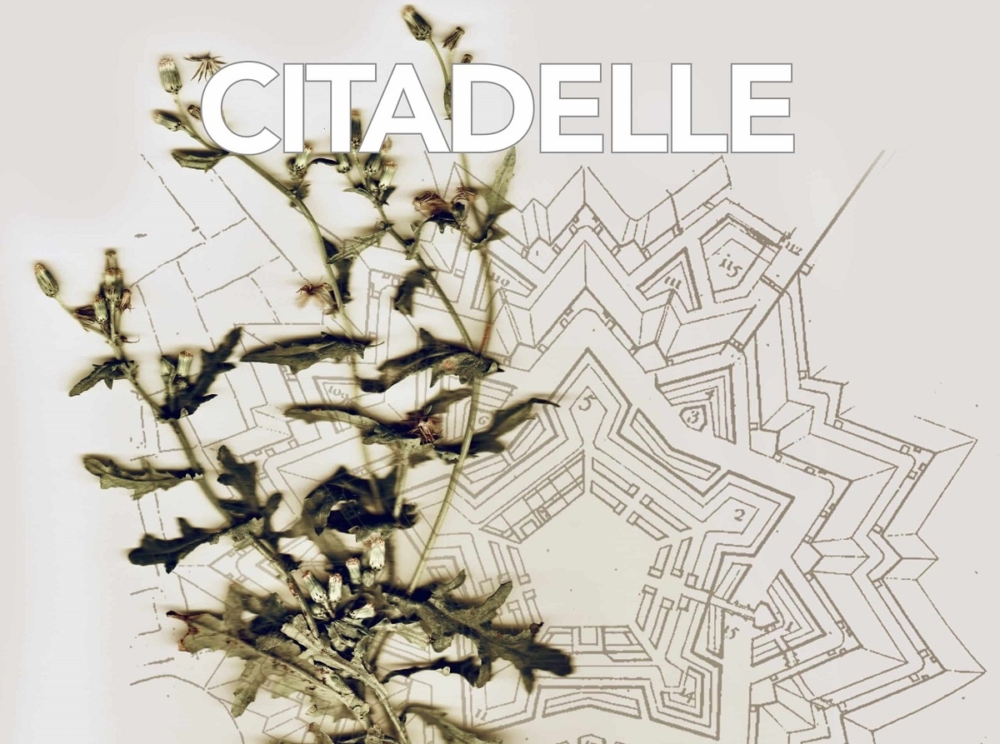 Baptiste Legros dans Citadelle L’Affaire des noyés de la Deûle de Mélodie Lasselin et Simon Capelle