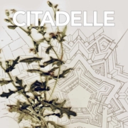 Baptiste Legros dans Citadelle L’Affaire des noyés de la Deûle de Mélodie Lasselin et Simon Capelle