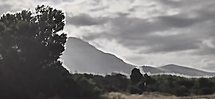 Orso photo Félix Loizillon