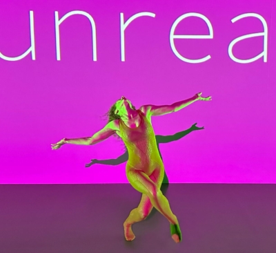 This Is Unreal de Liz Santoro et Pierre Godard