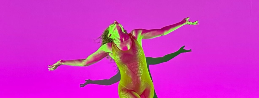 This Is Unreal de Liz Santoro et Pierre Godard