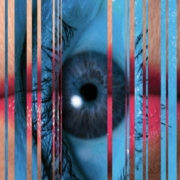 La 4e édition du Festival des Formes Radicales du T.E.C