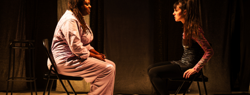 Julien Kosellek met en scène La Décalcomanie de Magali Mougel