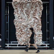 La luz de un lago d'El Conde de Torrefiel