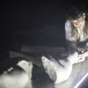 Les Corps Incorruptibles d'Aurélia Lüscher