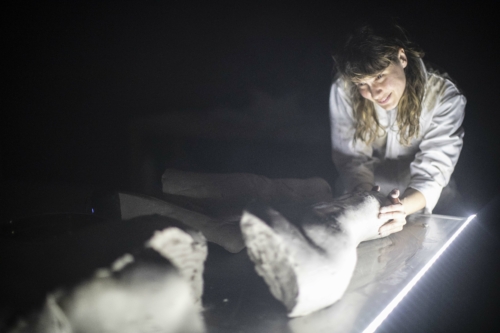 Les Corps Incorruptibles d'Aurélia Lüscher