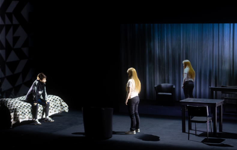 Les Petites Filles modernes (titre provisoire) de Joël Pommerat