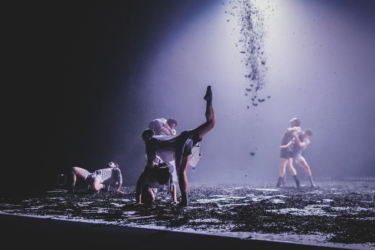 The Grave's Tears de Roderick George