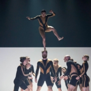 WOLF par la compagnie Circa