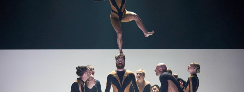 WOLF par la compagnie Circa