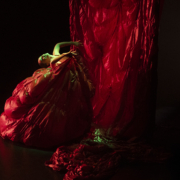 Après vous madame de Paula Comitre @ Laura León